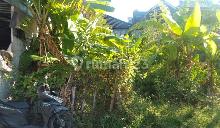 Tanah 110.0 M² Shm Di Padangsambian Jl