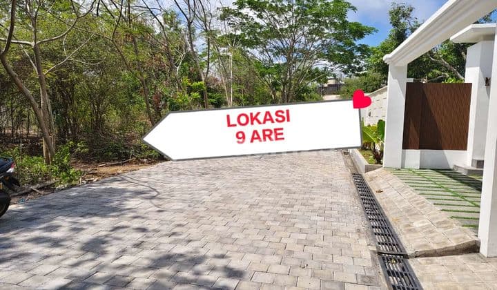 Dijual Tanah 9 Are Shm Di Kampial Nusa Dua Lc