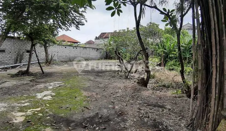 Tanah 34.2 Are Plus Gedung Shm Di Batubulan Ev