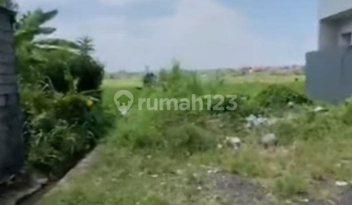 1 Are Land with SHM in East Denpasar Gatsu Gp