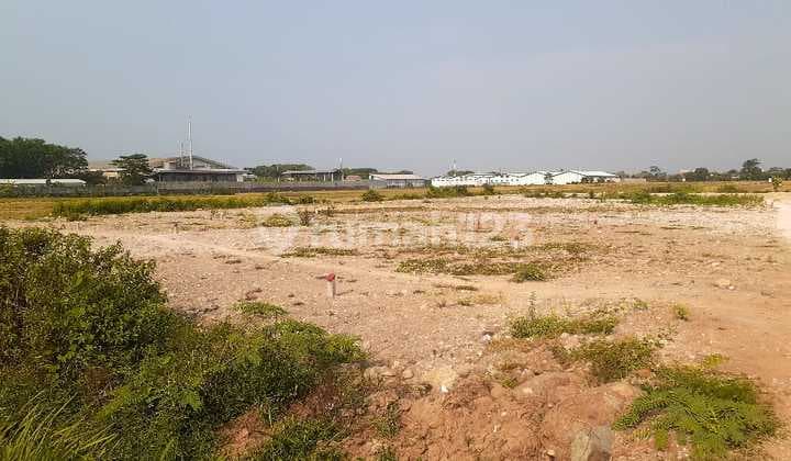 Dijual Tanah Siap Bangun Daerah Zona Kuning Batang, Jawa Tengah. Nego Sampai Deal!