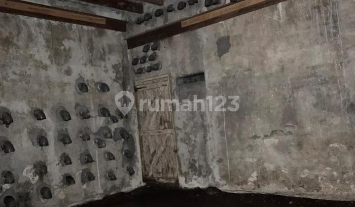 Jual Rumah Burung Beserta Tanah Besar 575 M2 di Purworejo, Semarang