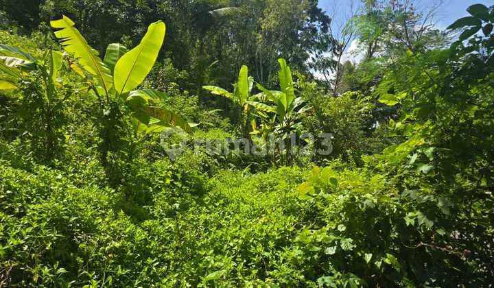 Land for Sale in Sidemen Location