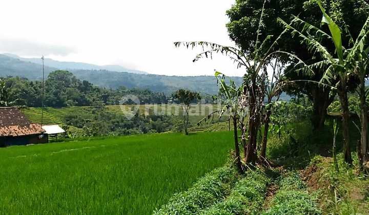 Jarang Ada Tanah Murah di Jalan Provinsi Nagreg Kab Bandung