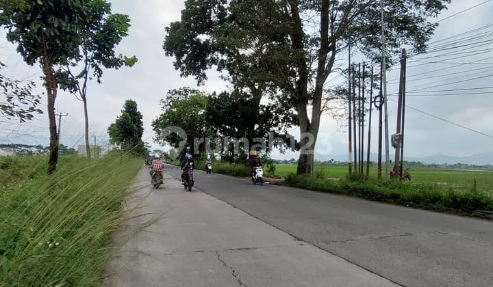 Tanah Murah Di Kawasan Industri Rancaekek Bandung