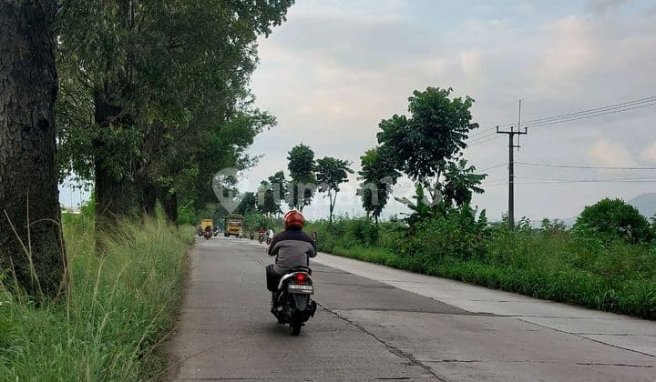 Tanah Murah Di Kawasan Industri Rancaekek Bandung