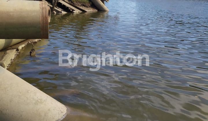 Simanjuntak Kariangau Port