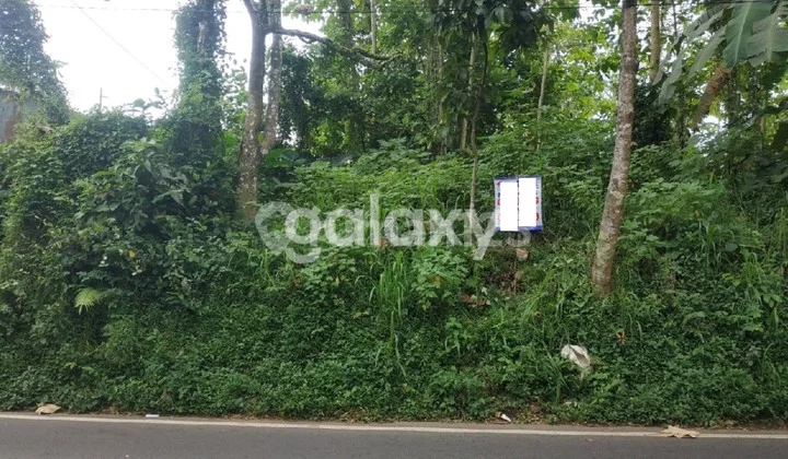 tanah 2258 m2 di lowokwaru tanah 2258 m2 di lowokwaru