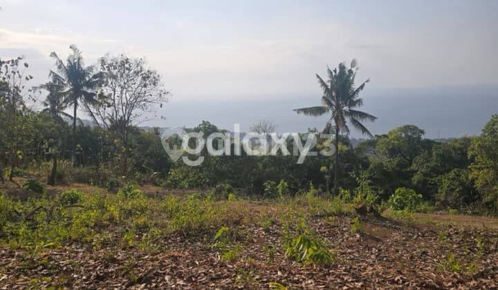 Dijual Tanah 20 are di Lovina, Buleleng