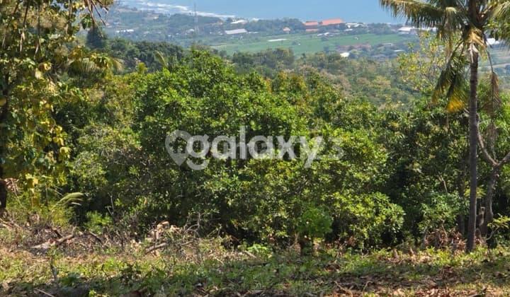 Dijual Tanah 20 are di Lovina, Buleleng