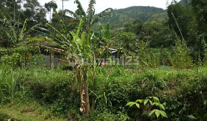 Tanah Luas 24 Titik Air Manglayang Ujung Berung Bandung