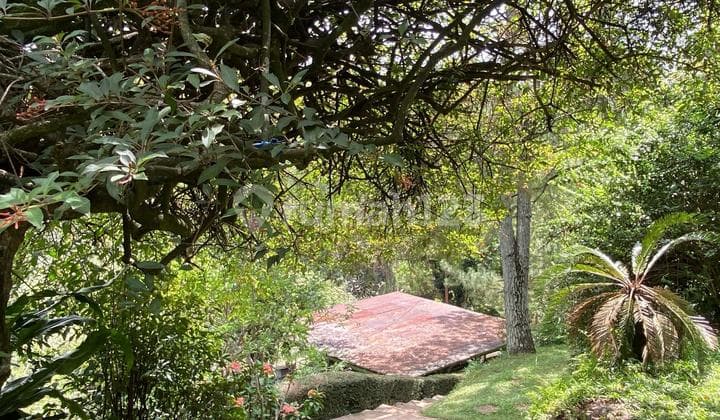 Tanah + Bangunan SHM di Ciumbuleuit Atas Bandung