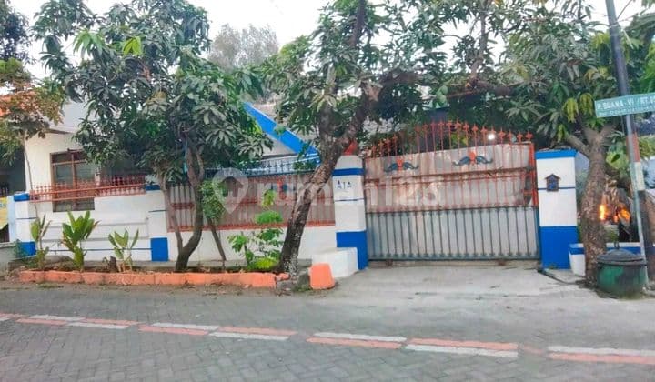 Rumah Bluru Sidoarjo Murah.aan.ya003