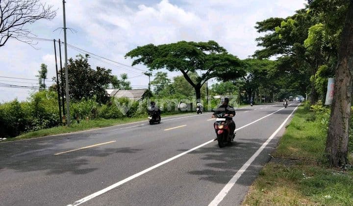 Tanah Nganjuk Murah.aan.a0013