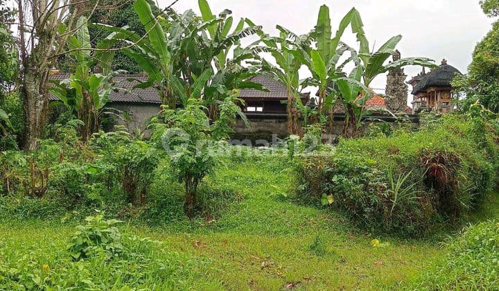Tanah Kebun Cocok Untuk Villa. Suasana Pedesaan Asri Sejuk Dan Tenang