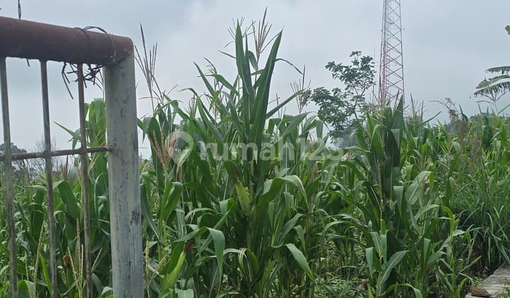 Kavling Lahan Tanah Di Oro-oro Dusun Dresel Dekat Jatim Park Bns Batu Malang Jawatimur
