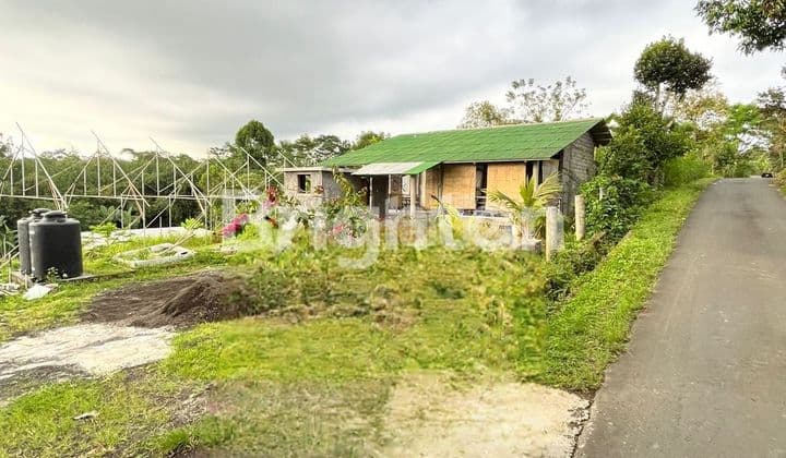 TANAH BONUS BANGUNAN DI ABUAN KINTAMANI