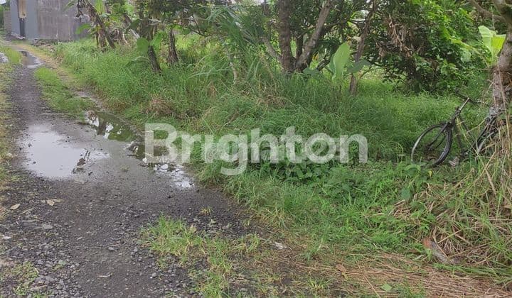 TANAH DI DEKAT AIR TERJUN BLANGSINGA GIANYAR