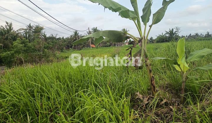 TANAH DI JALAN RAYA SABA