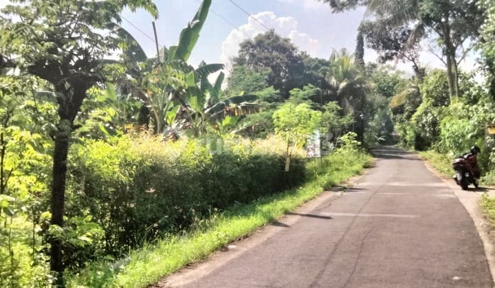 Yard Land Location near Kulonprogo Regency Office, Wates Station, and Wates Terminal