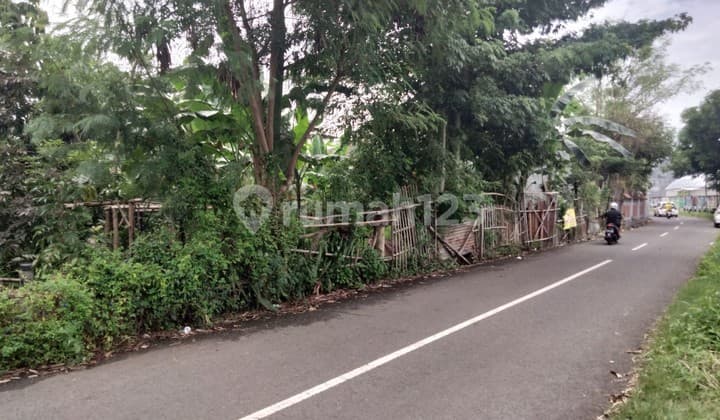 Tanah Luas 2.540 m2 di Timoho Yogyakarta, Investasi Properti yang Menguntungkan!
