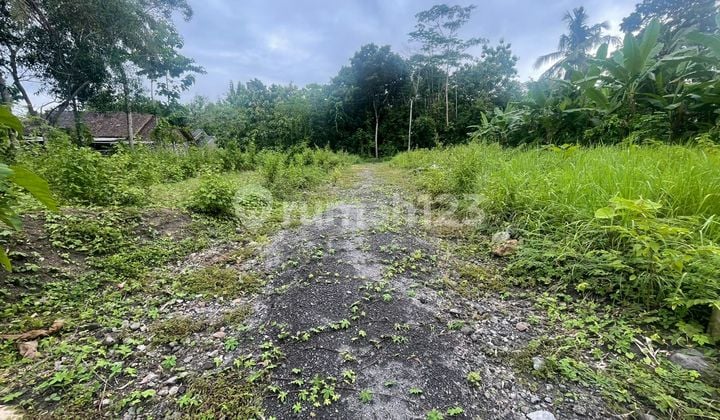 For Sale, Large Land Plot 1529 Square Meters, Located in Sembung - Balecatur Gamping Sleman.
