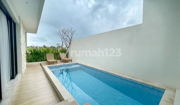Villa In Canggu Leasehold Brand New Bali