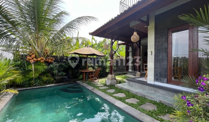 Villa In Ubud Bali Fully Furnished