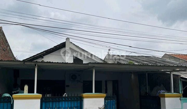 Rumah Bebas Banjir Tengah Kota di Cempedak Semarang