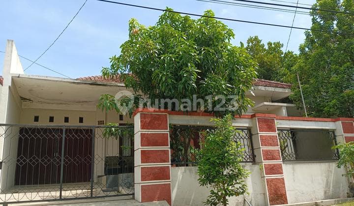 Rumah Terawat Siap Huni di Citarum Semarang Rumah
