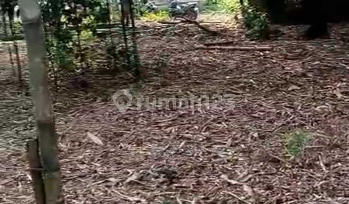 Lahan Tanah Super Premium Lokasi Desa Tegalsari Kec.tigaraksa Tangerang