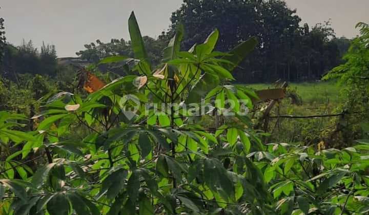 Tanah Di Pamulang Shm Tangerang Selatan