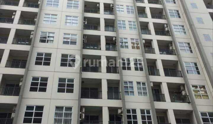 Apartemen Saveria Furnished Bagus Di Bsd