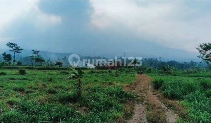 Tanah Shm 40.0 Ha Bisa Di Buat Pabrik Atau Perumahan