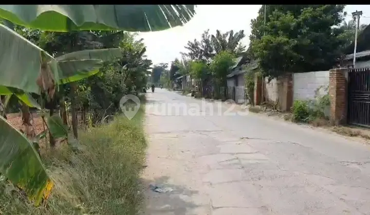 Strategic Land on Jl. Raya Pasar Babelan 184, Babelan Kota, Babelan, Bekasi, West Java, Indonesia, 17610, Babelan SHM Side of the Road
