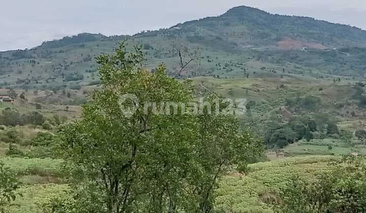 Tanah Dikavlingkan Puncak Bukit Hambalang Dekat Sentul City