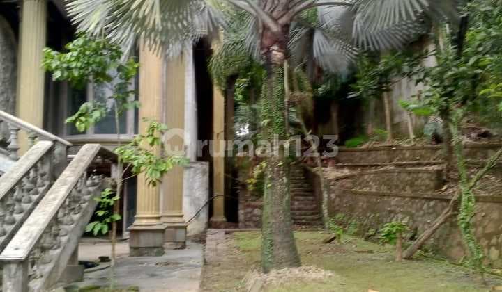 Rumah Castil Perlu Renovasi Shm Dengan Halaman Yang Luas