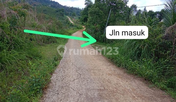 Tanah Strategis Cocok Utk Peternakan atau Perkebunan