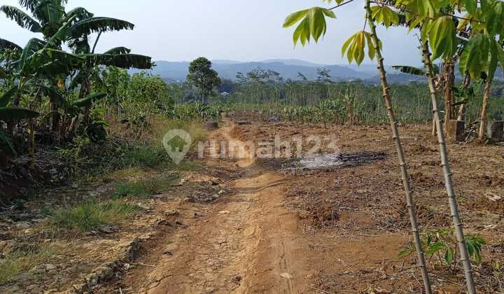 Tanah Di Kota Sukabumi Shm 24.0 Ha Bisa Utk Di Bangun Pabrik Atau Perumahan Kavling