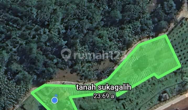 Tanah SHM 1900.0 M² di Bojong Murni Ciawi Bogor