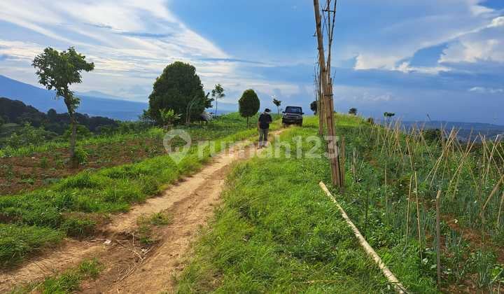 Tanah Strategis Dengan View Pegunungan Dengan Udara Yang Segar Di Megamendung
