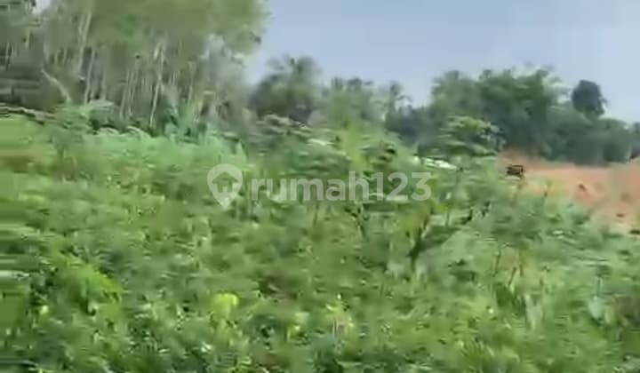 Tanah Shm 5.355 M² Di Caringin Ada Mata Air Deket Tol Bocimi