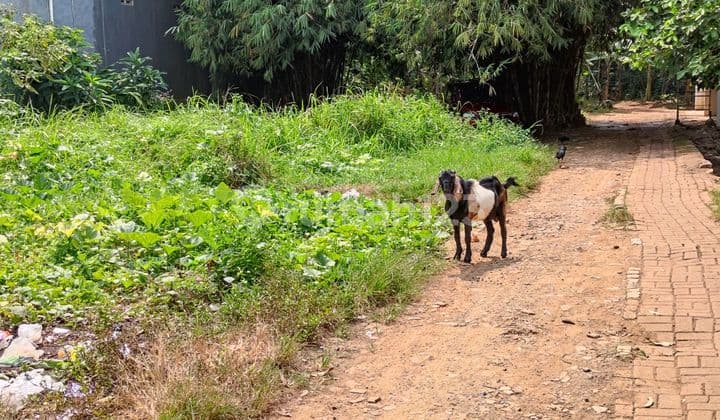Tanah Murah Cibubur, Belakang Pasar Kranggan, Masuk Mobil