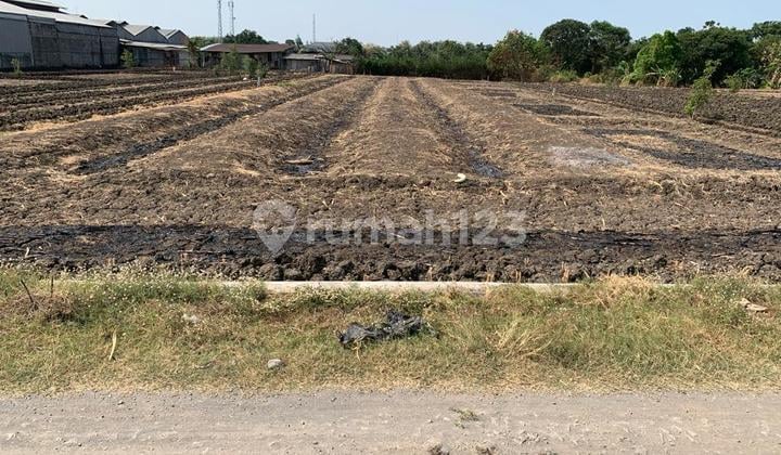 Jual Tanah Industri di Raya Domas, Menganti, Gresik