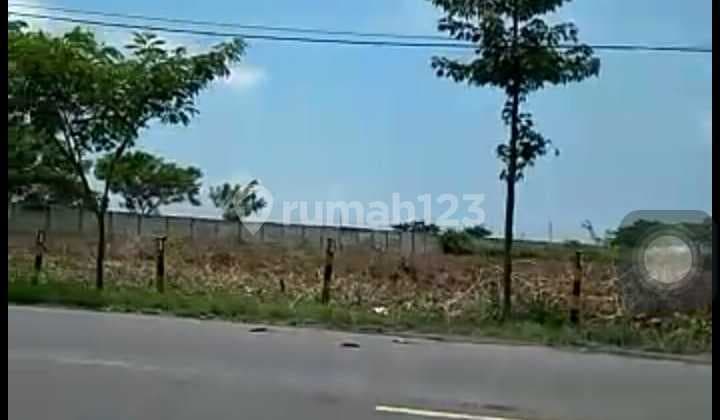 Tanah Di Jalan Nasional Tuban, Jawa Timur, Indonesia, 62352, Widang 40000.0 SHM