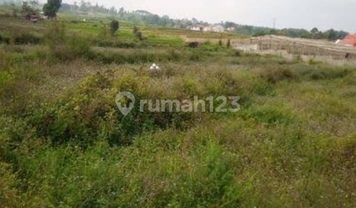 Jual Tanah Golf View Citraland Kota Surabaya