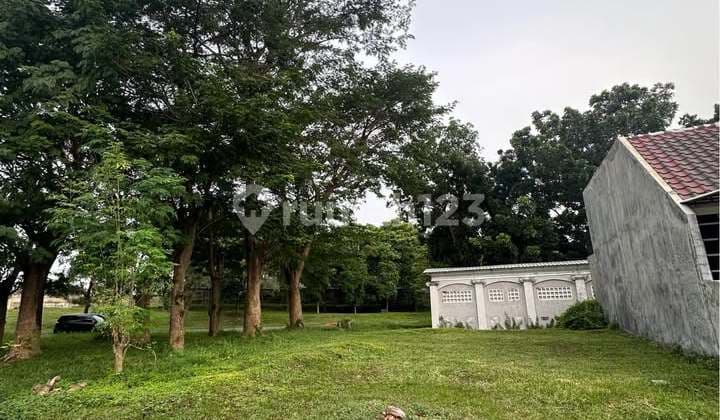 Tanah Citraland Palma Classica Dekat Sekolah Citra Berkat, Dekat North West