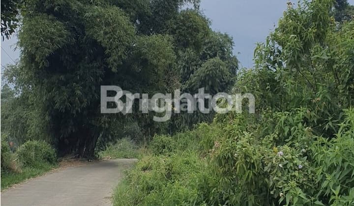 For Quick Sale: Good Land in Cipayung - Puncak