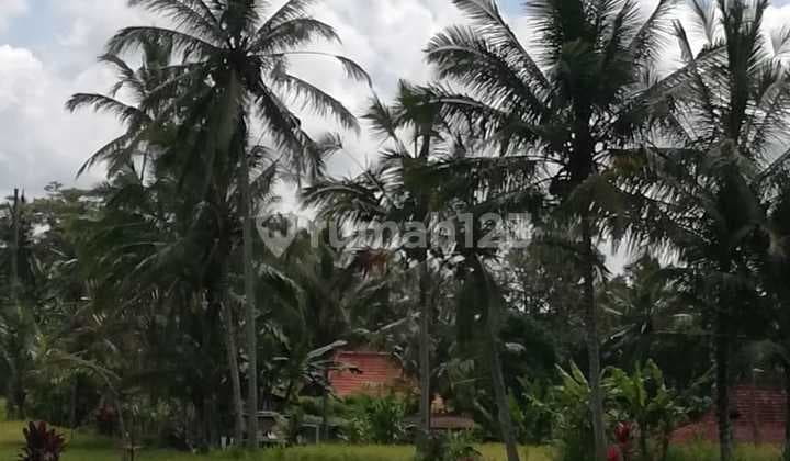 Dijual Tanah Lokasi Tegallalang Lingkungan Villa