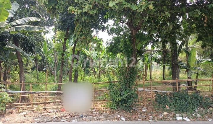 Kavling Luas di Sarua Ciputat Tangsel Dekat Gerbang Tol Serpong
